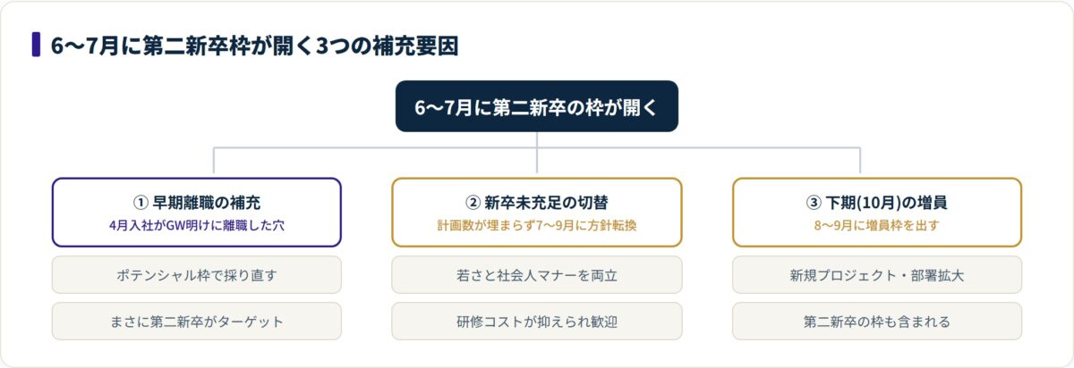 6〜7月に第二新卒枠が開く背景を、早期離職の補充・新卒未充足の切替・下期増員の3要因に分解した図。